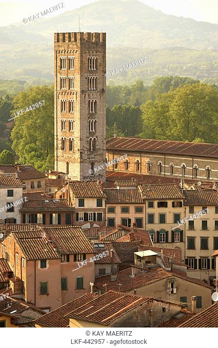 View over the old town of Lucca from Torre Guinigi, Lucca, Tuscany, Italy