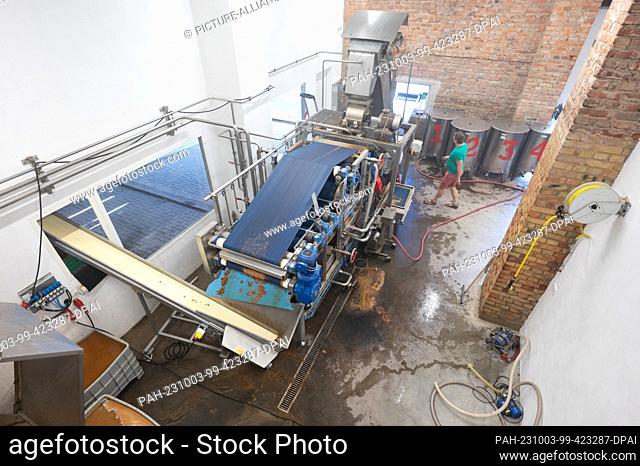 20 September 2023, Saxony, Possendorf: Dominic Sonntag stands at the juice press of the organic wine press Sonntag. (to ""Cideries focus on individual offers"")...
