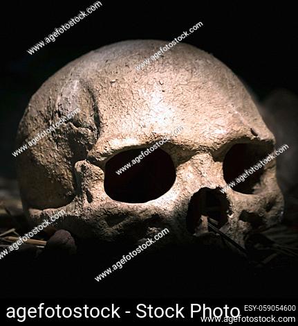 Old skull. Real human skull on dark background. Vintage black background