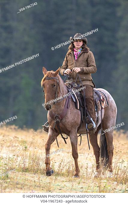 Female wrangler cowgirl on horse, Montana, USA