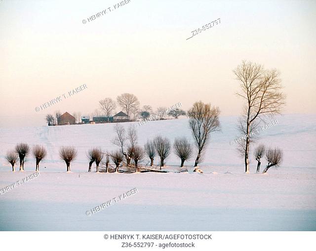 Winter scene Slomniki of Poland