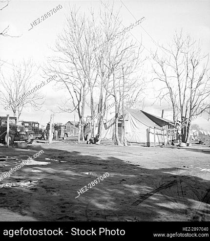 Migrants' winter quarters, Farmersville, Tulare County, 1939. Creator: Dorothea Lange