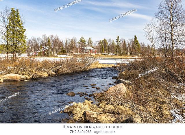 Spring season in Swedish Lapland, creek with running water, ice floes on lake, houses with flag pole, Gällivare county, Swedish Lapland, Sweden