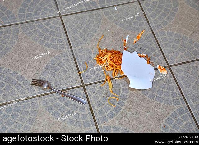 Plate of spaghetti dropped on the kitchen floor and breaking