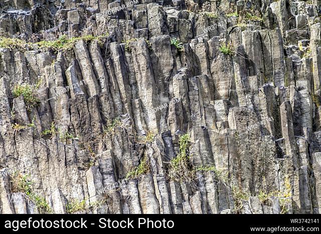 Die fünf- bis sechseckigen Basaltsäulen sind durch erkaltete Magma entstanden, Parkstein, Oberpfalz, Bayern, September