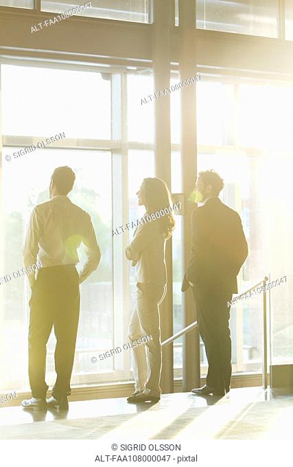 Business associates looking at view from office window