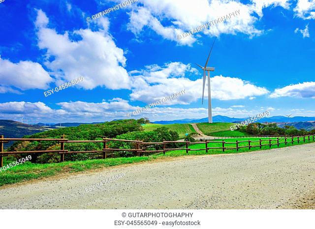 Wind turbines generating electricity on green meadow