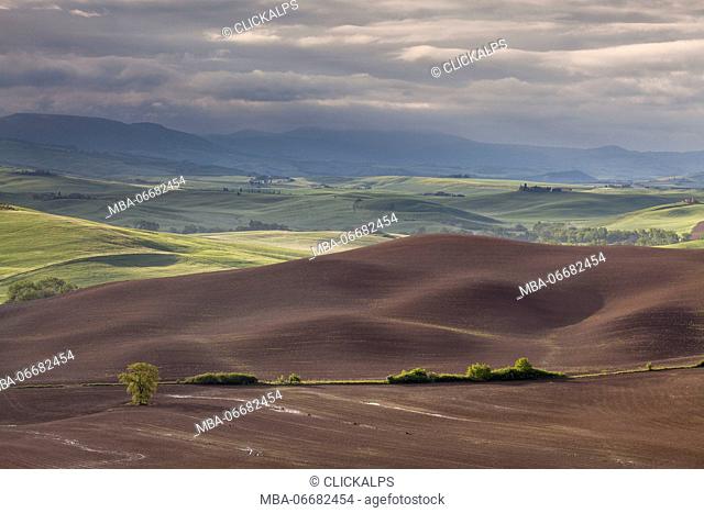 Pienza, Orcia Valley, Tuscany, Italy. View of countryside