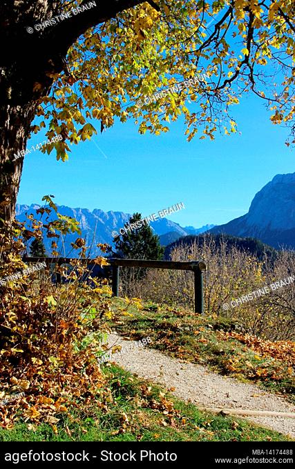 Footpath to Eckbauer Herbstlich, autumn leaves, blue sky, Germany, Bavaria, Upper Bavaria, Loisachtal, Garmisch-Partenkirchen