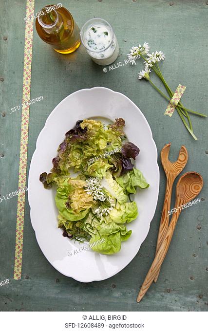 Lettuce with two kinds of wild garlic dressing