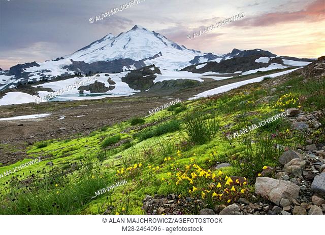 Mount Baker 10, 781 ft (3, 286 m), Mount Baker Wilderness Washington