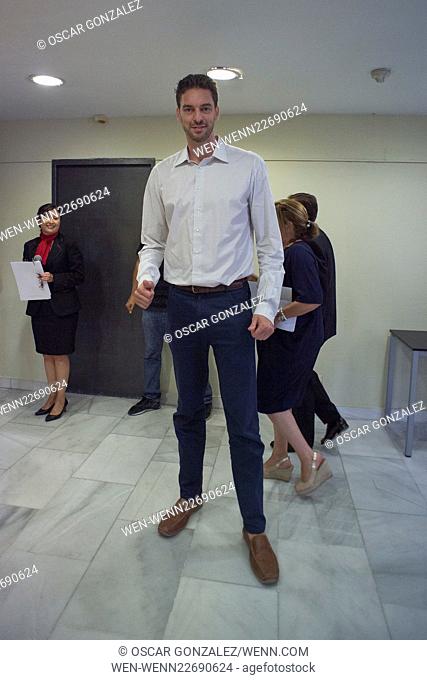 Chicago Bulls' Spanish player Pau Gasol addresses a press conference in Madrid to present the agreement reached between Gasol Foundation and Grupo IFA to...