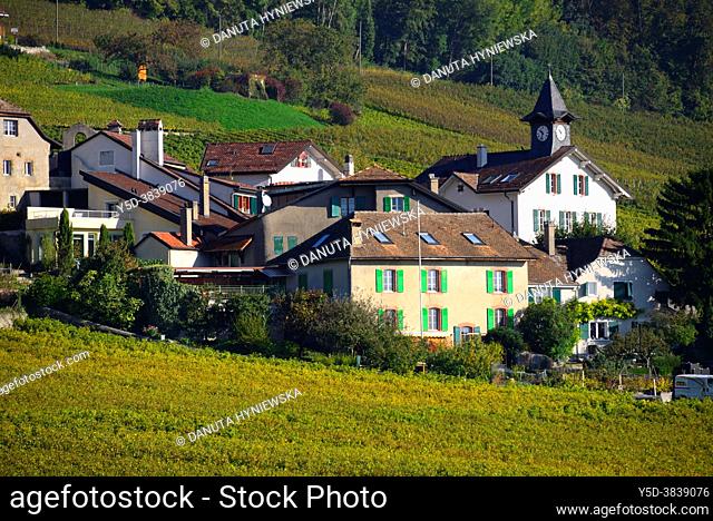 Human settlement in vineyards, Gland, Nyon district, canton Vaud, VD, Romandy, Romandie, La Cote wine region, La Côte, La Côte Vaudoise, Switzerland, Europe