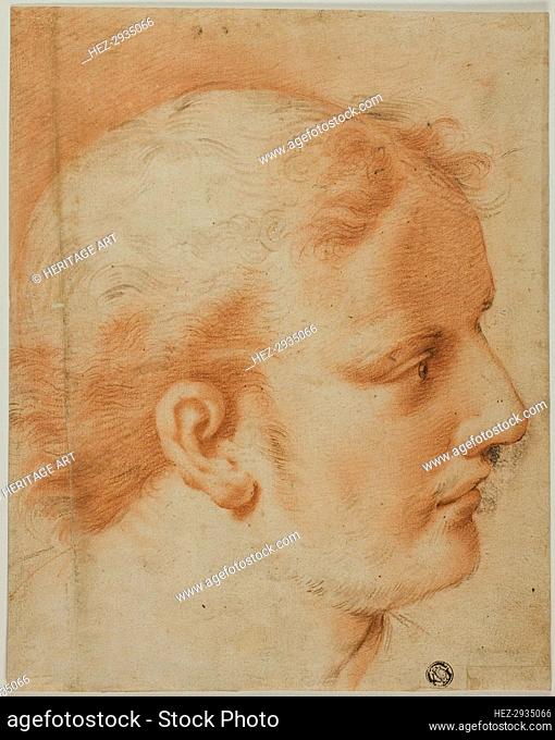 Head of Young Man, in Profile to Right, n.d. Creator: Unknown