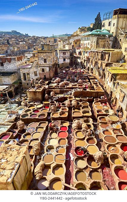 Fez. Chouwara traditional leather tannery in Old Fez. Morocco