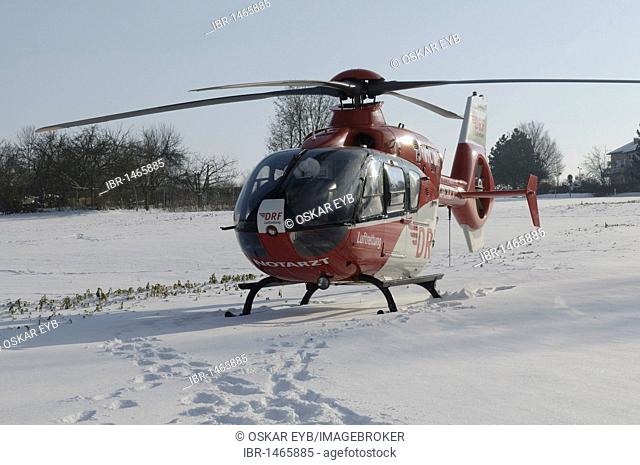 Rescue Helicopter Christoph 41, identifier D-HDRC, landing on a snow-covered meadow, Stuttgart, Baden-Wuerttemberg, Germany, Europe