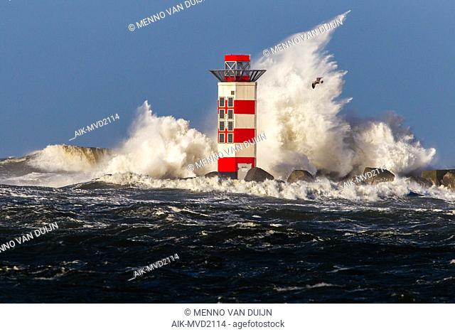 Big waves crashing against the lighthouse at the tip of the pier of Ijmuiden, Netherlands, during severe storm over the North Sea