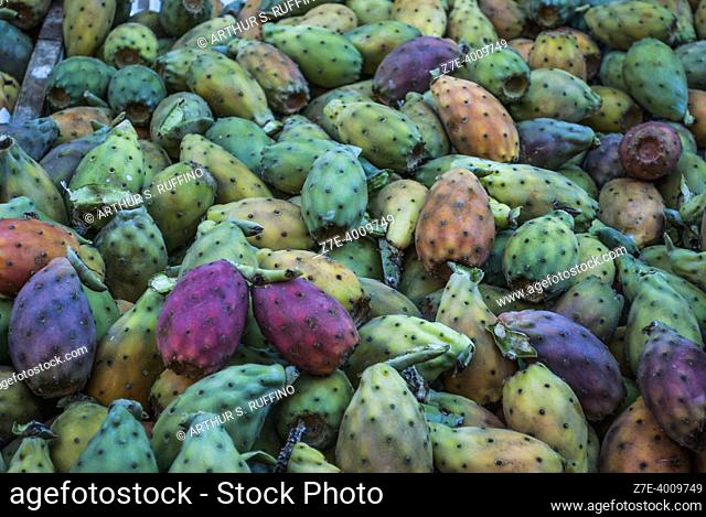 Prickly pear (Opuntia) stand. Sicily, Italy. Metropolitan City of Catania, Sicily, Italy