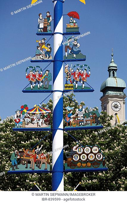 May pole on Viktualienmarkt Market, Heiliggeistkirche, Church of the Holy Spirit at back, Munich, Upper Bavaria, Germany, Europe