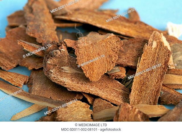 Cherry bark infused into a tea is used to treat sore throats, sores, burns, wounds