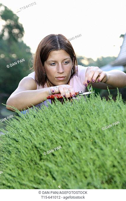 Girl trimming bush with a pair of scissors