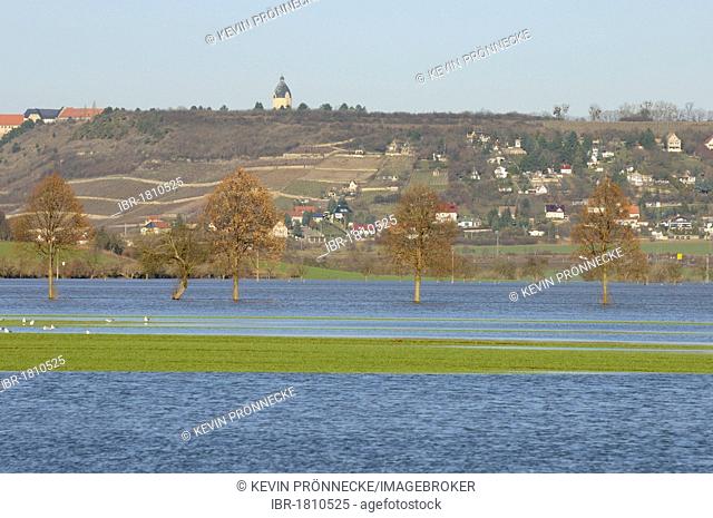 Floodwaters in the Saale-Unstrut rivers regions, Saxony-Anhalt, Germany, Europe