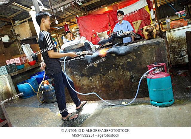 A young man burning cow skin with a gas burner  The skin is later cleaned from burned pieces and sold as ingredient for soup and other Malay recipes  Kuala...