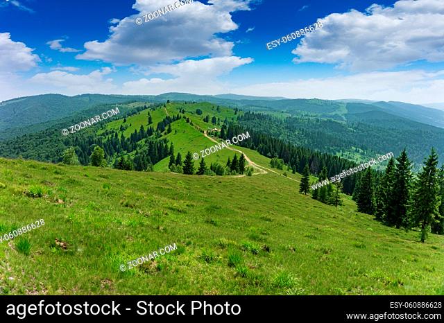 Summer view of the mountains in the Carpathians
