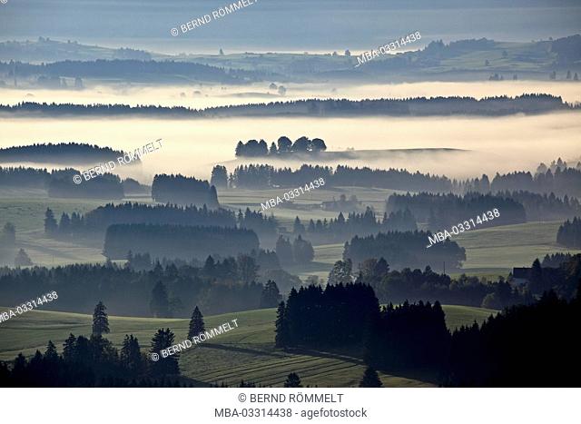 Germany, Bavaria, Allgäu, Ostallgäu district, Königswinkel region, mountain Auer, foothills of the Alps