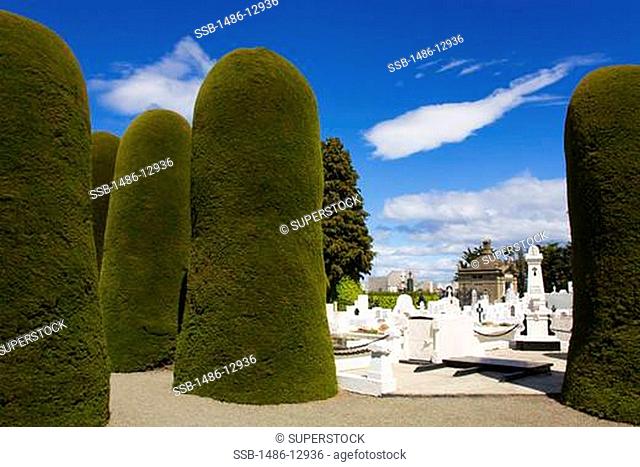 Cemetery, Punta Arenas, Magallanes Province, Patagonia, Chile