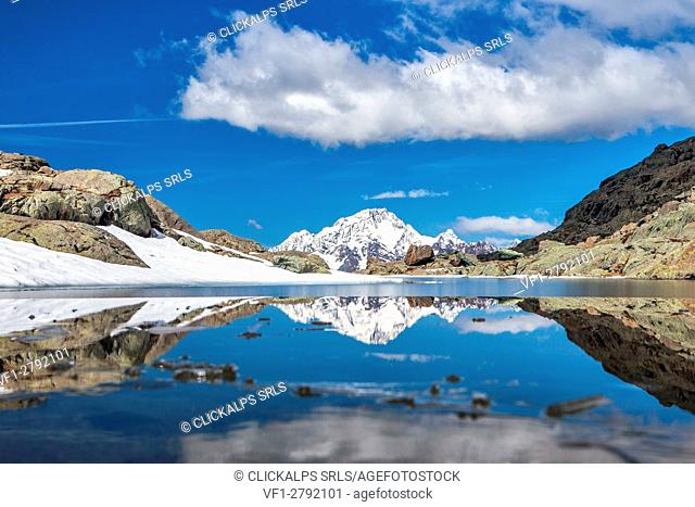 Mount Disgrazia reflected in Lake Campagneda, Valmalenco, Valtellina Lombardy Italy Europe Italy