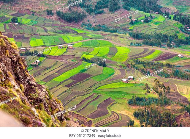 Green terraced fields in the mountain in Amhara province near city Weldiya with traditional african houses, Ethiopia agriculture concept. Africa
