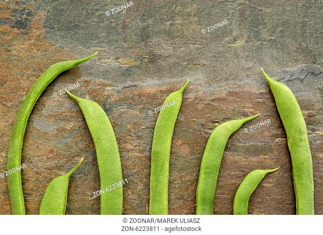 pods of fresh green French beans against slate rock background