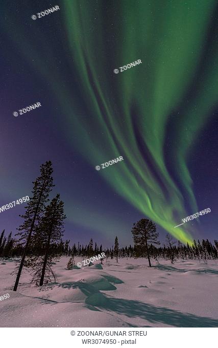 Northern lights above moonlit landscape, Lapland, Sweden