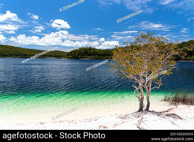 Lake McKenzie is a shallow groundwater lake on Fraser Island in Queensland, Australia