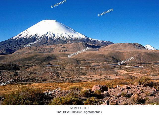 volcano Sajama in Noth Chile, Chile