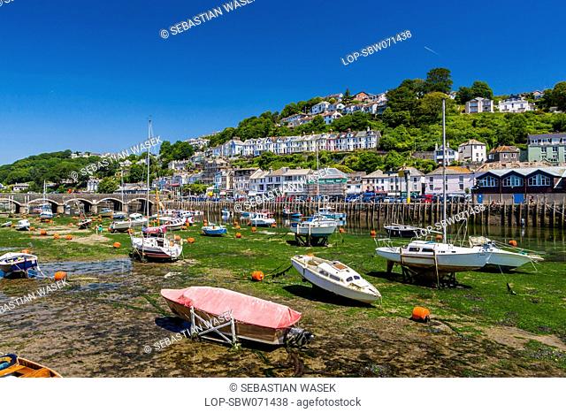 England, Cornwall, Looe. Sailing yachts moored in Looe harbour during low tide