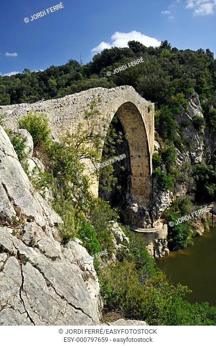 Romanesque bridge named Pont del LLierca at Tortellà, Garrotxa, Catalonia, Spain, Europe