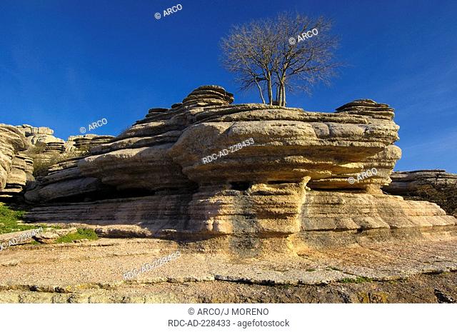 Jurassic limestones, natural park El Torcal de Antequera, Malaga province, Andalusia, Spain