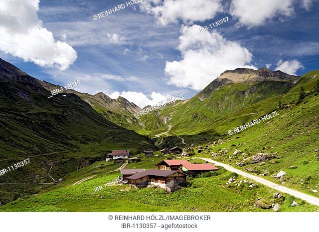 Stoankasern alpine pasture, Hintertux, Zillertal Valley, Tyrol, Austria, Europe