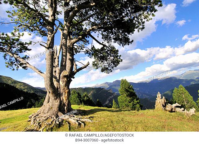 Vallnord área in summer. A ski/snowboard resort in the Pyrenees mountains in the country of Andorra, close to the border with Spain at Tor, Pallars