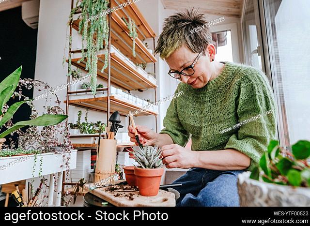 Mature woman planting succulent plant at home