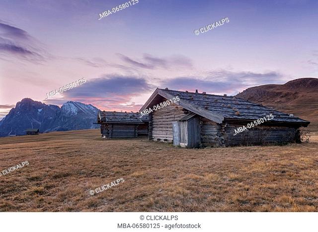 Europe, Italy, South Tyrol, Alpe di Siusi - Seiser Alm, Characteristic mountain barns with Sassolungo/Langkofel and the Sassopiatto/Plattkofel in the background