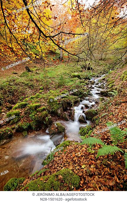 Waterfall, autumn landscape, Saja Natural Park, Saja-Nansa, Cantabria, Spain
