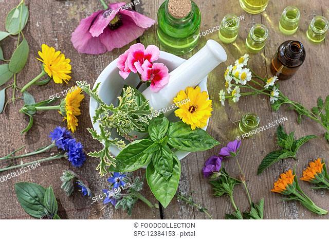 Various healing flowers, herbs and oils in and around a mortar