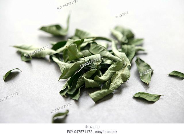Close up dried curry leaves, Indian cuisine spices on grey background