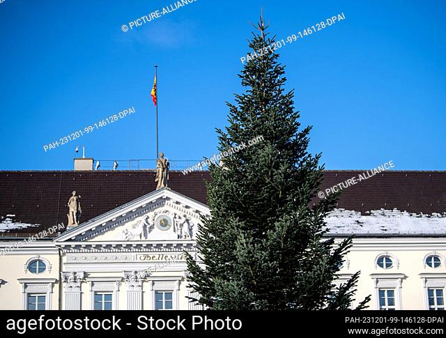 01 December 2023, Berlin: The lights were lit on the Christmas tree in front of Bellevue Palace today by the Federal President and children from Nehring Primary...
