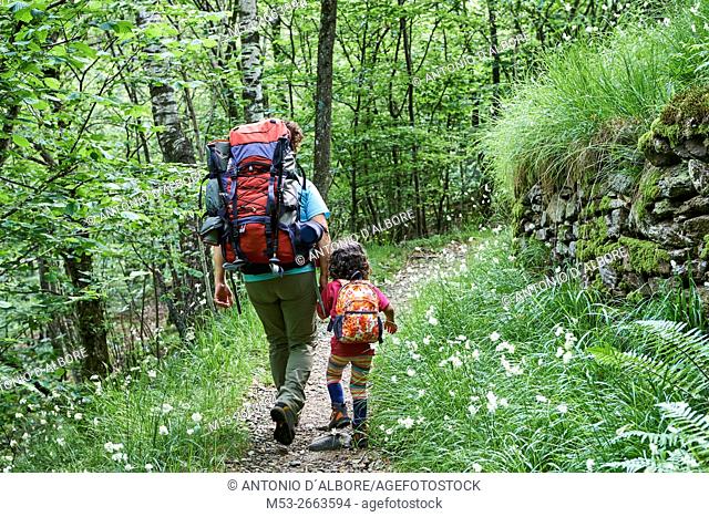 Mother and daughter hiking in the forest
