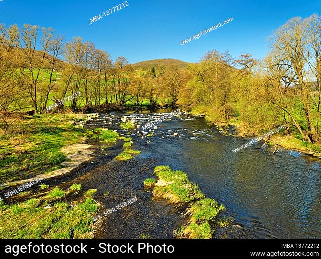 Europe, Germany, Hesse, Marburger Land, Lahn valley, meadow landscape on the Lahn near Kernbach, willow trees, former Lahn weir with fish ladder