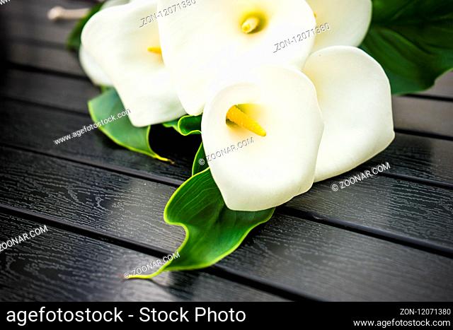 Beautiful white calla lilies in a bouquet on rustic background